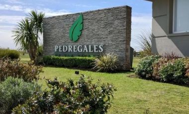 Terreno en venta - 360 mts2 - Alejandro Korn