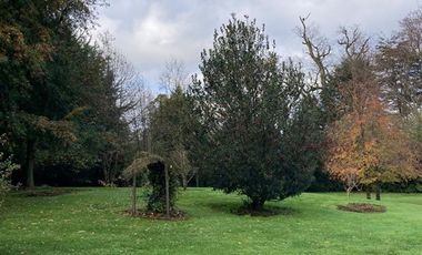 Casa en Arriendo en Lomas de Pilauco