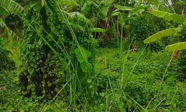 Rumah dijual di Candi, Sidoarjo