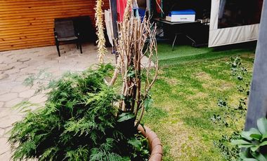 VENTA HERMOSA CASA ESPECIAL PARA INVERSIONISTA