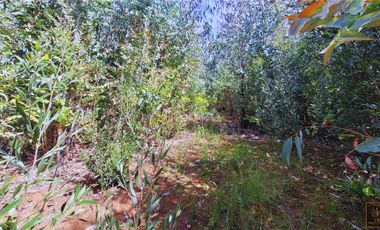 Parcela en venta en SANTA JUANA