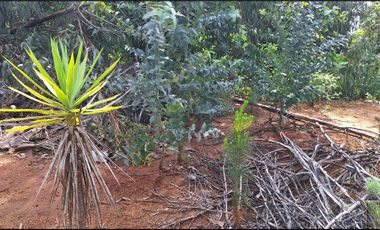 Parcela en venta en SANTA JUANA