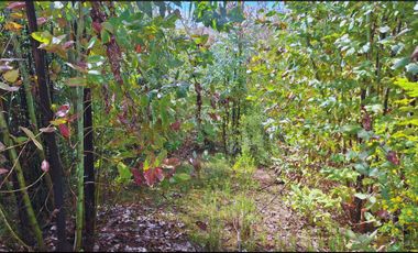 Parcela en venta en SANTA JUANA