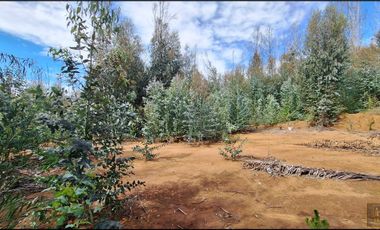 Parcela en venta en SANTA JUANA