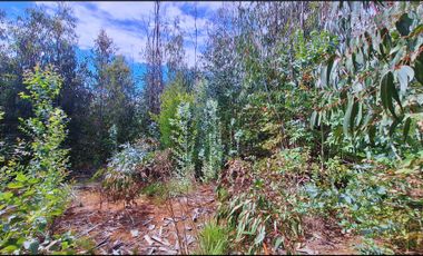 Parcela en venta en SANTA JUANA