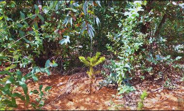 Parcela en venta en SANTA JUANA