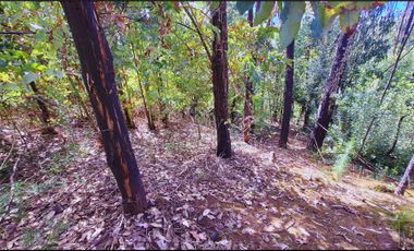 Parcela en venta en SANTA JUANA