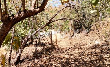 TERRENO CON CONSTRUCCIÓN Y VISTA AL MAR EN MAZUNTE OAXACA - (3)