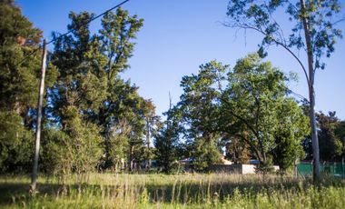 9 De Julio 2800, CaÃ±uelas, Buenos Aires.