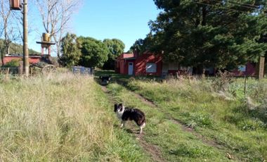 Venta campo 30 HectÃ¡reas a 10 min del centro de Miramar.