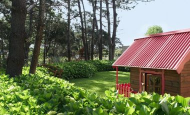 Penthouse en Ocean Drive | PROP1008