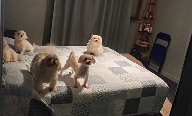 Casa en Venta en Dávila Larraín 2450