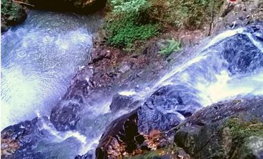 Chacra de 123 hectÃ¡reas