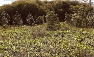 Chacra de 123 hectÃ¡reas