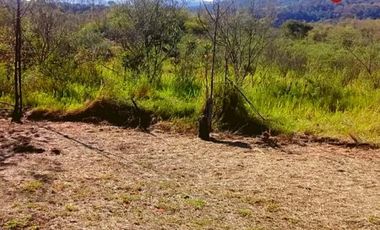 Chacra de 123 hectÃ¡reas