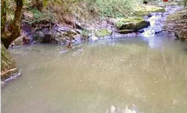 Chacra de 123 hectÃ¡reas