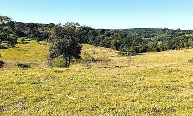 Chacra de 376 hectÃ¡reas