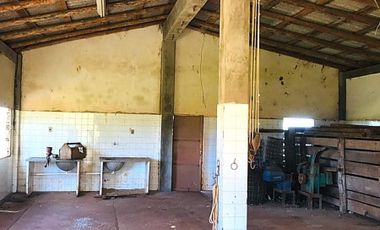 Chacra de 376 hectÃ¡reas