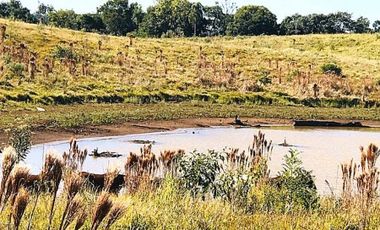 Chacra de 376 hectÃ¡reas