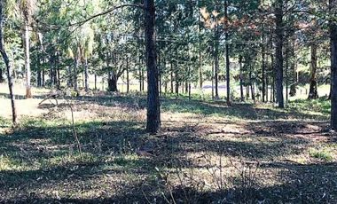 Chacra de 376 hectÃ¡reas