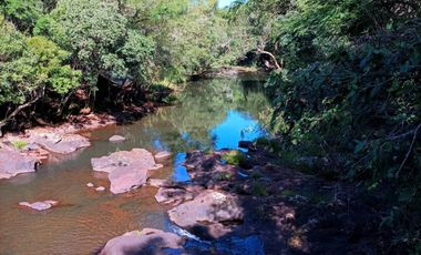 Vendo Chacra de 43,5 hectareas en Aristobulo del Valle Arroyo Alegre
