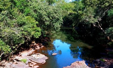 Vendo Chacra de 43,5 hectareas en Aristobulo del Valle Arroyo Alegre