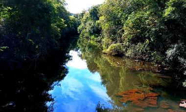 Vendo Chacra de 43,5 hectareas en Aristobulo del Valle Arroyo Alegre