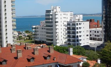 Art Boulevard | PROP1025