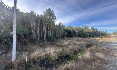 PUERTO MONTT PARCELA 5000 M2 TRAPEN CHAQUEIHUA