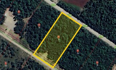 PUERTO MONTT PARCELA 5000 M2 TRAPEN CHAQUEIHUA