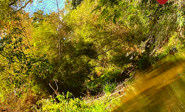 Se vende chacra de 243