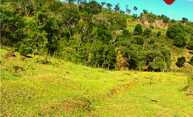 Se vende chacra de 243