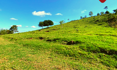 Se vende chacra de 243