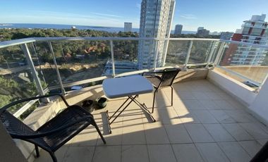 APARTAMENTO UN DORMITORIO. VISTA A MANSA