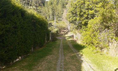 Terreno en Puembo