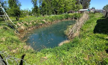 Agrícola en Venta en Ruta L 49 / Sector San Esteban