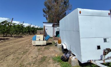 Agrícola en Venta en Ruta L 49 / Sector San Esteban