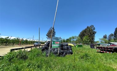 Agrícola en Venta en Ruta L 49 / Sector San Esteban