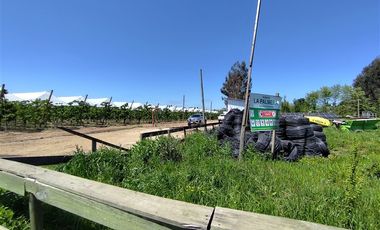 Agrícola en Venta en Ruta L 49 / Sector San Esteban