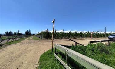 Agrícola en Venta en Ruta L 49 / Sector San Esteban