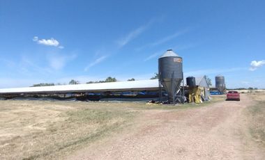 VENDE GRANJA EN ROCAMORA!