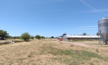 VENDE GRANJA EN ROCAMORA!