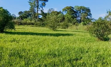 Gran terreno en esquina nivelado, parquizado y cercado