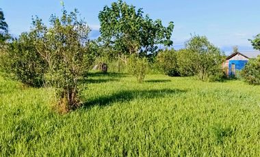 Gran terreno en esquina nivelado, parquizado y cercado