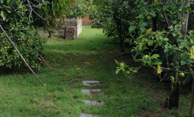 VENDE: Calle Los Ceibos