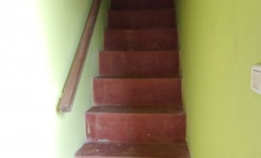 LOCALES,TINGLADO Y CASA