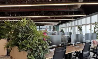 IB-CM0712 - Oficina en Renta en Paseo de la Reforma, 744 m2.