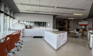 IB-CM0716 - Oficina en Renta en Paseo de la Reforma, 298 m2.