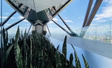 IB-CM0716 - Oficina en Renta en Paseo de la Reforma, 298 m2.