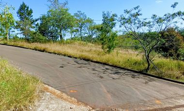 Terreno en Dos de Mayo centrico